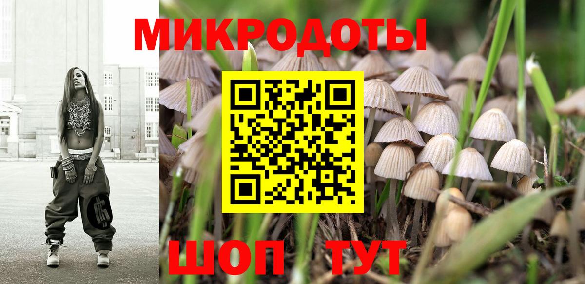 Псилоцибиновые грибы GOLDEN TEACHER  Вход с VPN  Тимашёвск 
